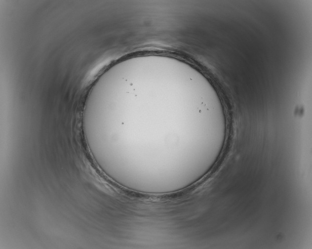 X0000113141355200909040947