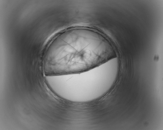 X0000113141356200909040947