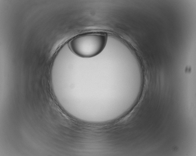 X0000113141357200909040947