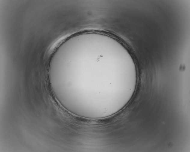 X0000113141359200909040947