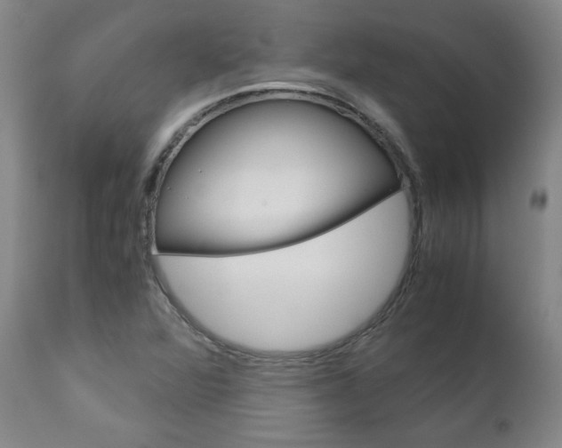 X0000113141360200909040947