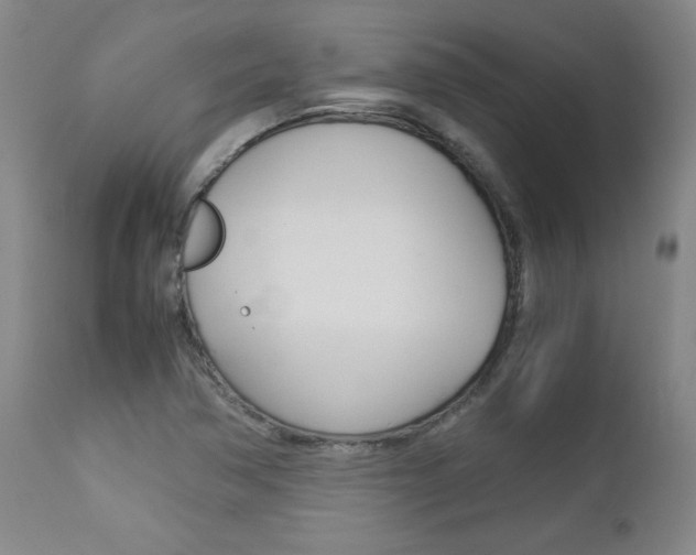 X0000113141362200909040947