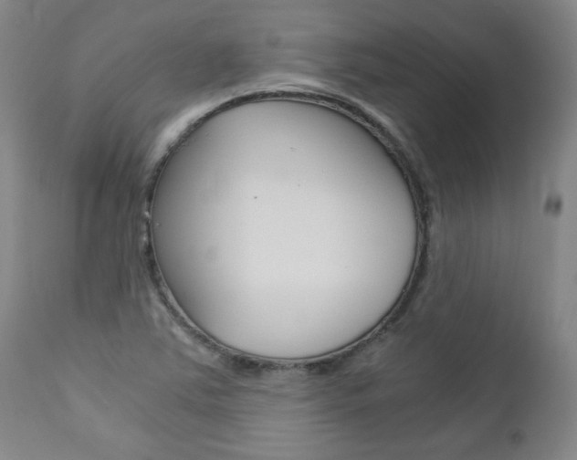 X0000113141363200909040947
