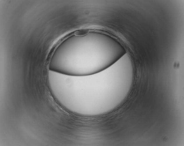 X0000113141364200909040947
