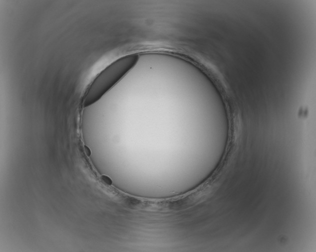 X0000113141365200909040947