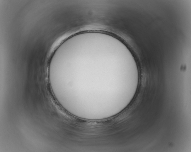 X0000113141366200909040947