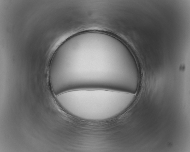 X0000113141367200909040947