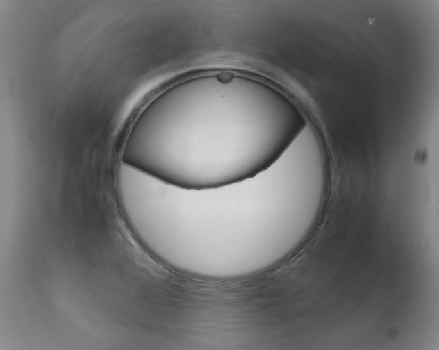 X0000113141368200909040947