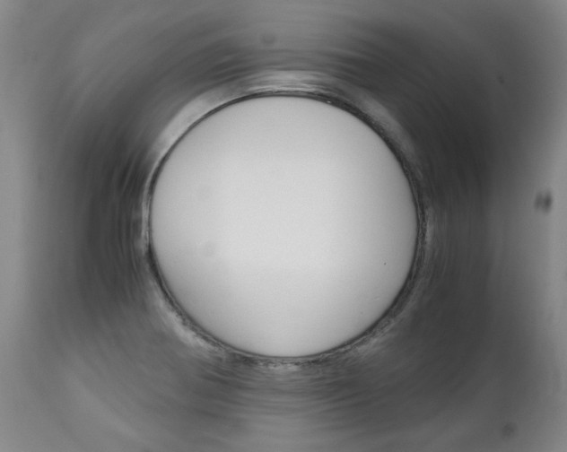 X0000113141370200909040947