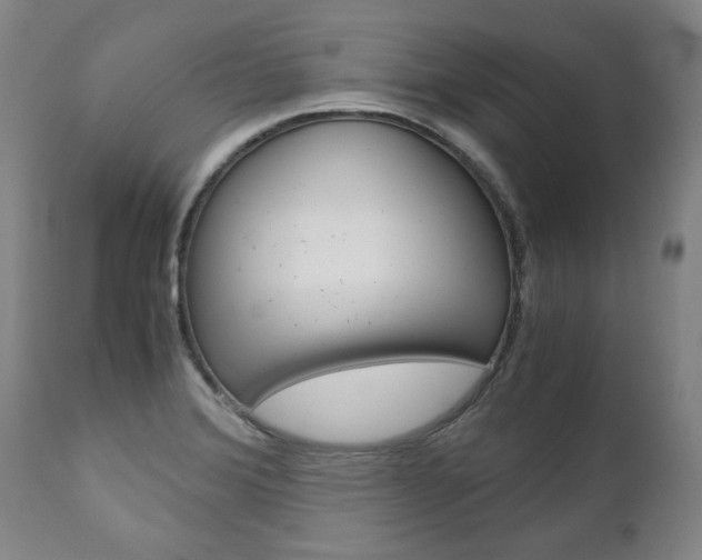 X0000113141372200909040947