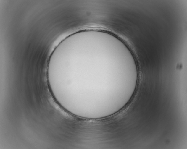 X0000113141374200909040947