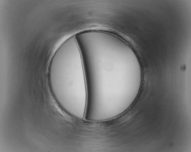 X0000113141375200909040947