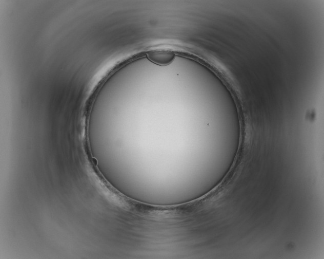 X0000113141376200909040947