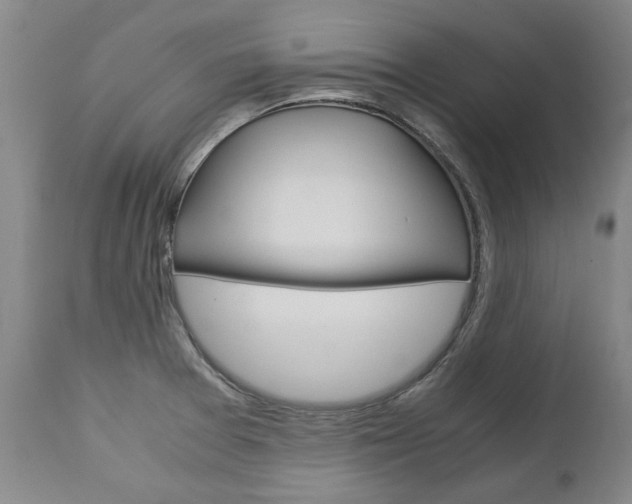 X0000113141377200909040947