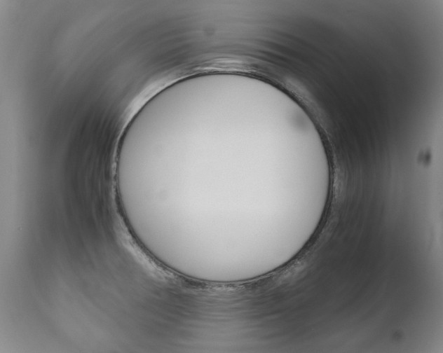 X0000113141378200909040947