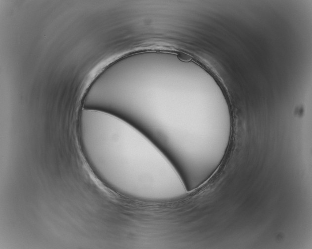 X0000113141379200909040947