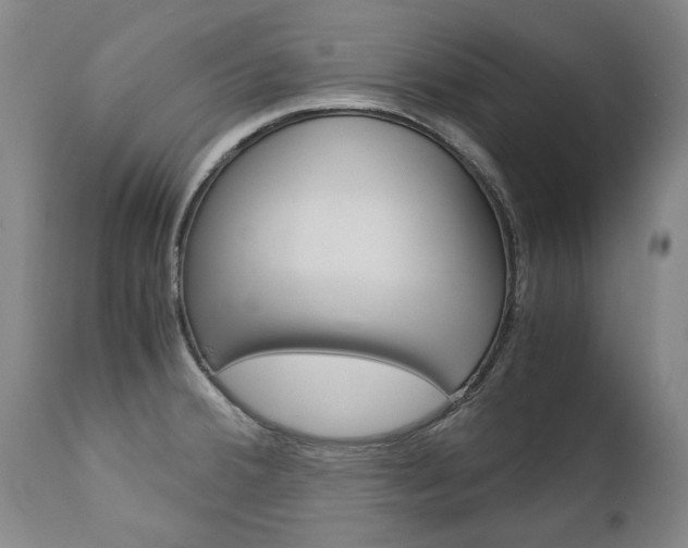 X0000113141380200909040947