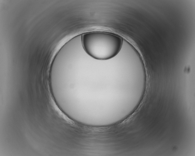 X0000113141381200909040947
