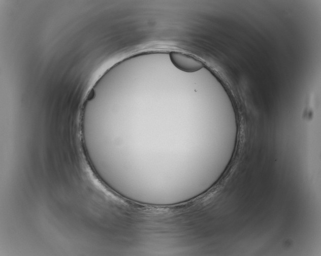 X0000113141382200909040947