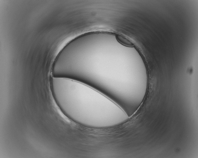 X0000113141383200909040947