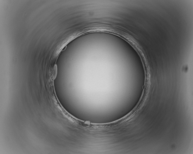 X0000113141385200909040947