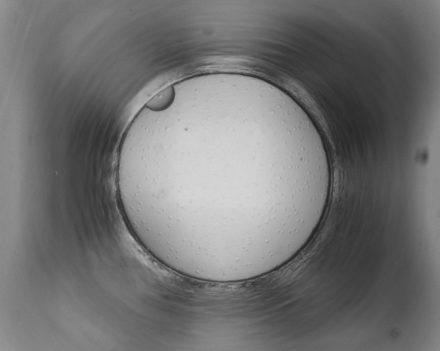 X0000113141386200909040947