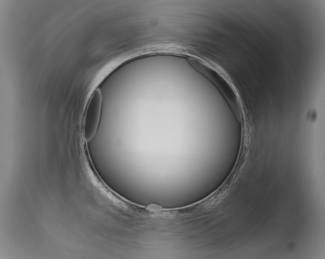 X0000113141389200909040947