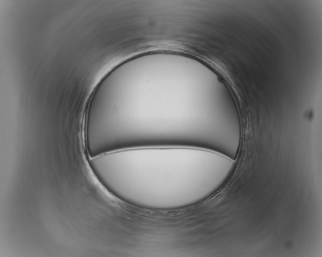 X0000113141391200909040947