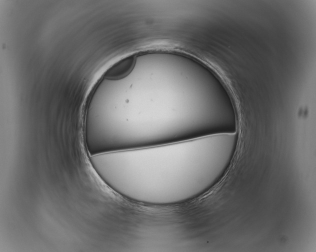 X0000113141392200909040947