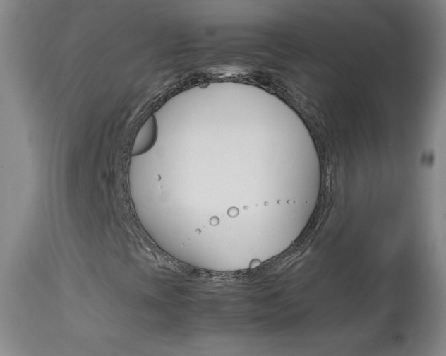 X0000113141393200909040946