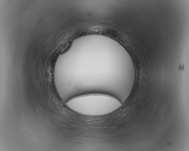 X0000113141394200909040946