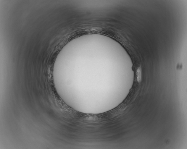 X0000113141395200909040946