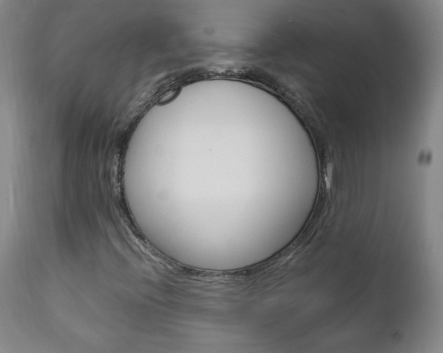 X0000113141396200909040946