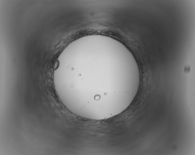 X0000113141397200909040946