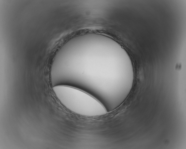 X0000113141398200909040946