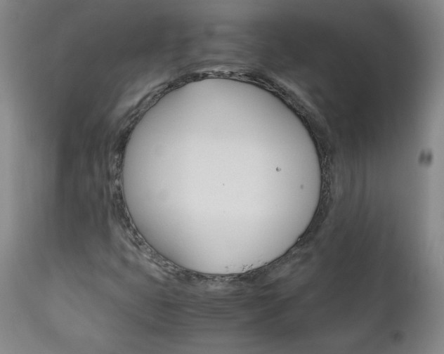 X0000113141399200909040946