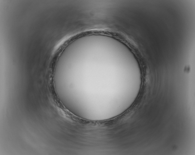 X0000113141400200909040946