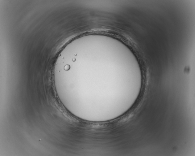 X0000113141401200909040946