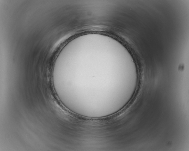 X0000113141402200909040946