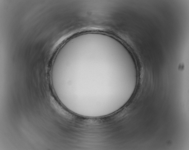 X0000113141404200909040946