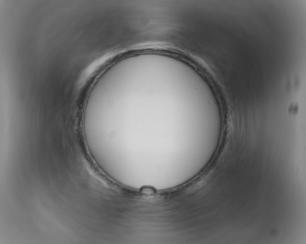 X0000113141406200909040946