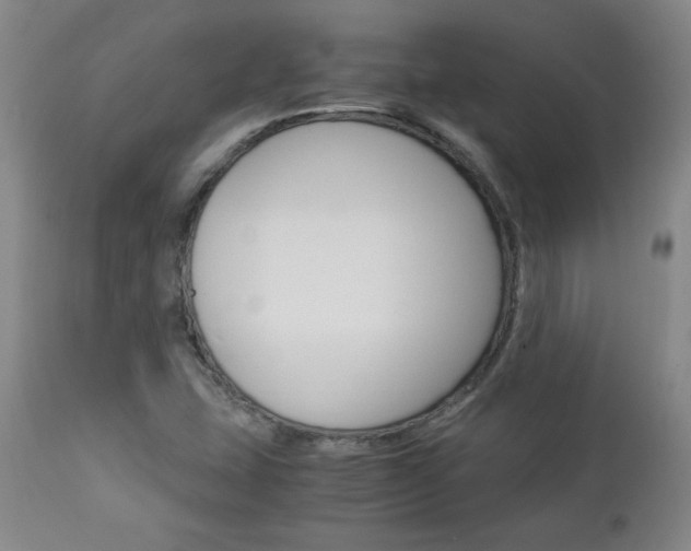 X0000113141407200909040946