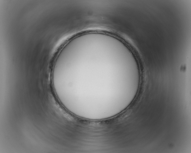 X0000113141408200909040946