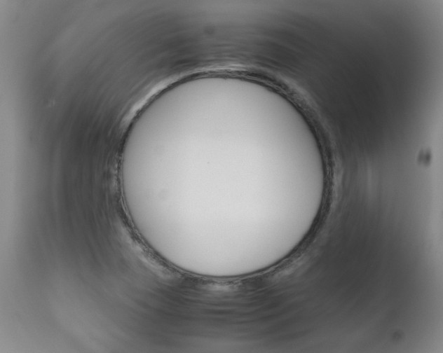 X0000113141409200909040946