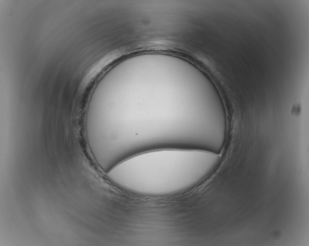 X0000113141410200909040946
