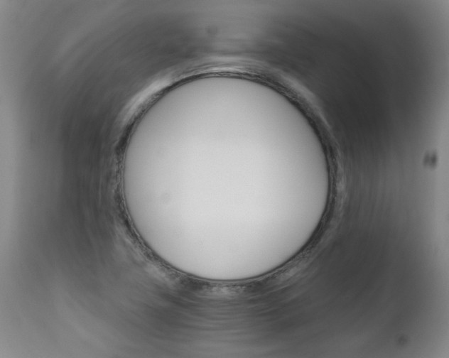 X0000113141411200909040946