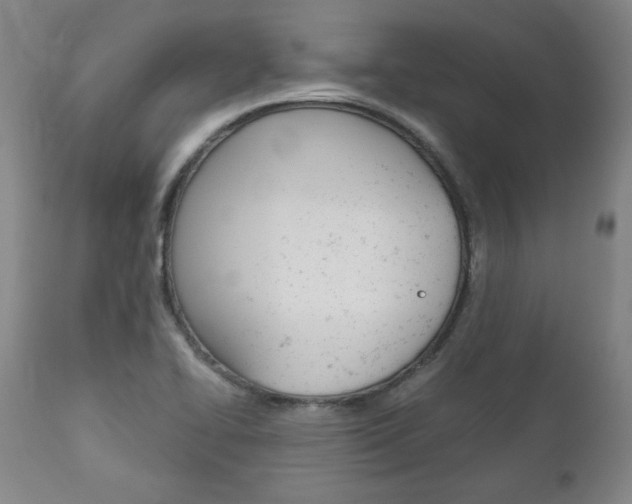X0000113141414200909040946
