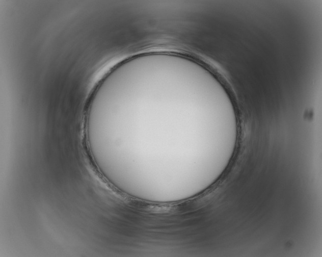 X0000113141415200909040946