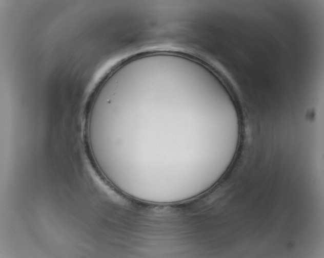 X0000113141416200909040946