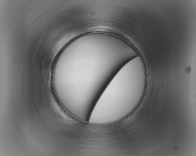 X0000113141418200909040947